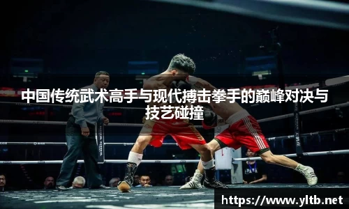 中国传统武术高手与现代搏击拳手的巅峰对决与技艺碰撞
